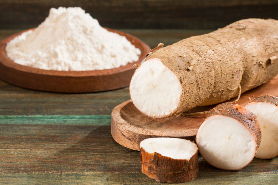Ararot Nedir ? Ararot (Maranta) Faydaları Nelerdir ?
