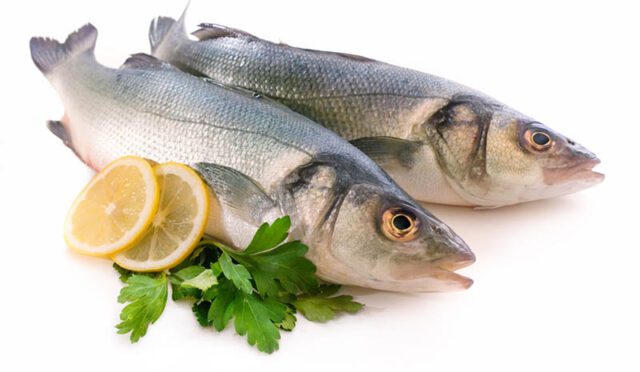 Çiftliklerde Yetişen Balık Türleri Nelerdir?