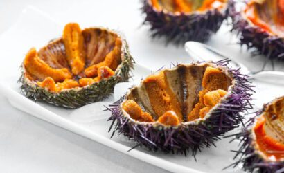 Deniz Kestanesi Nedir?