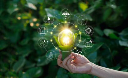 Ekosistemde Enerji Akışı Nedir?