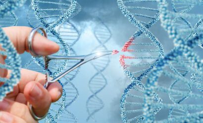 Genetik Mühendisliği Başka Hangi Alanda Çalışmalar Yürütmektedir