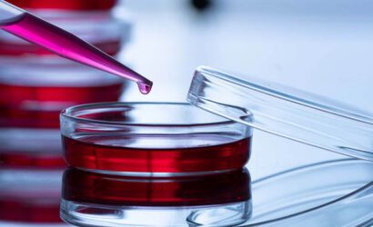 Hücre Kültürü ve Teknolojileri Nedir?