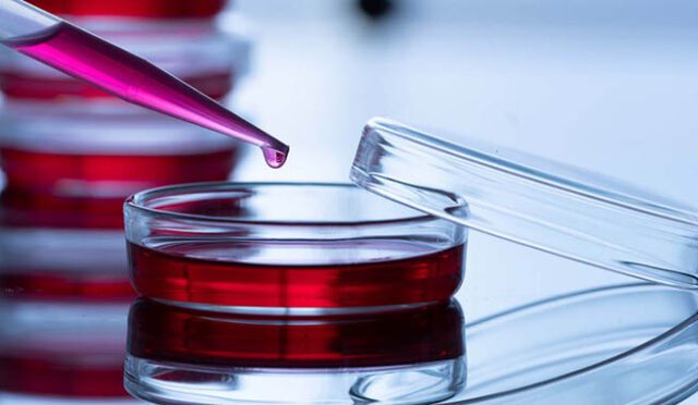 Hücre Kültürü ve Teknolojileri Nedir?