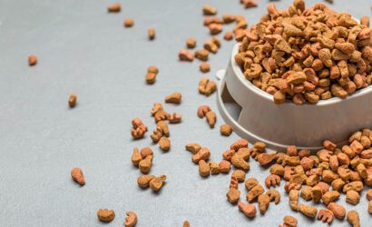 Kedi Maması Seçerken Nelere Dikkat Etmelisin