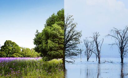Klimatolojinin Tanımı ve Önemi