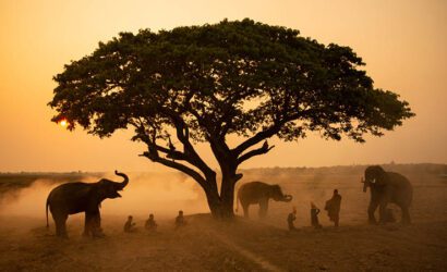 Manzaralarıyla Akıldan Çıkmayan 7 Belgesel