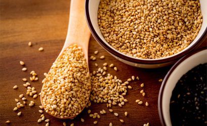 Susam Yetiştiriciliği