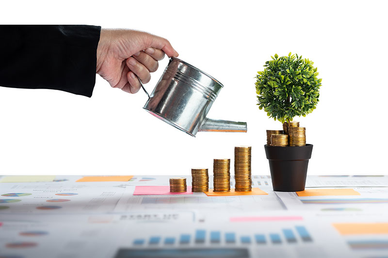 Tasarruf Oranını Büyütmek ve Geliri Çeşitlendirmek, Finansal Özgürlük Nedir
