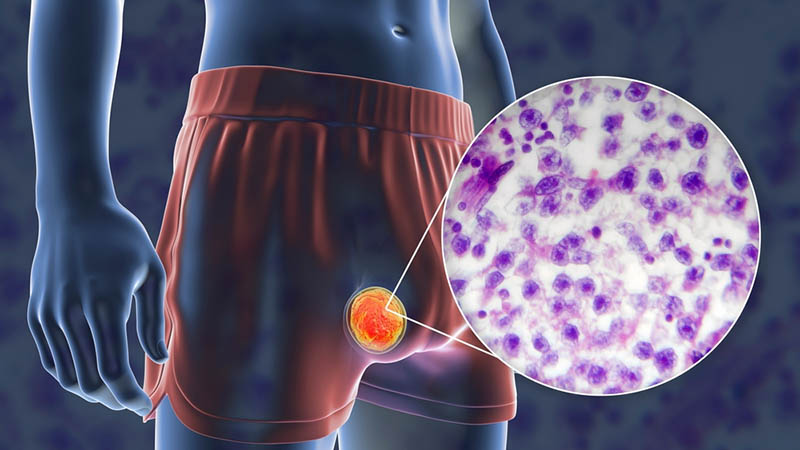 Testisler Hakkında Bilinmesi Gereken 8 Tuhaf Gerçek