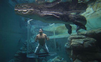 Timsah kafesi dalışı (Crocodile cage diving)