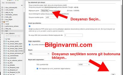 phpMyAdmin Veri Tabanını İçe Aktarma