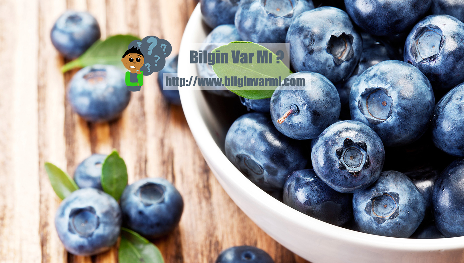 Yaban Mersini - Bilgin Var mı