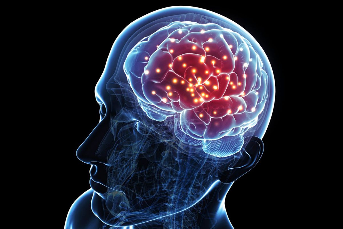 Beynimizin Özellikleri Nelerdir ?