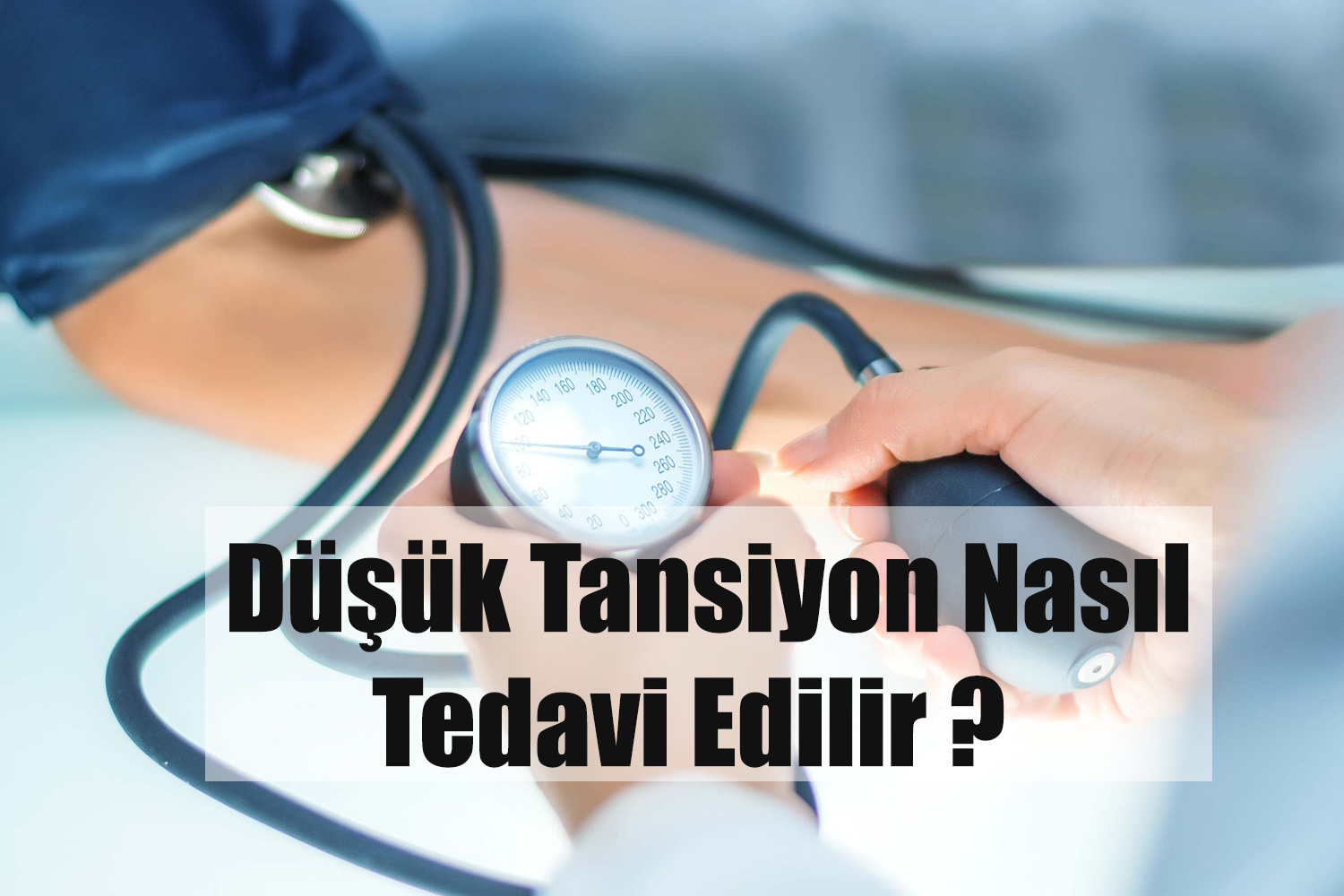 Hamilelik kediler ne kadar sürer Evcillarımızın ilginç durumu hakkında her şey 28