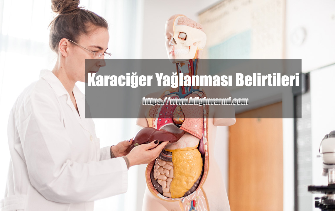 Karaciğer Yağlanması Karaciğer Yağlanması