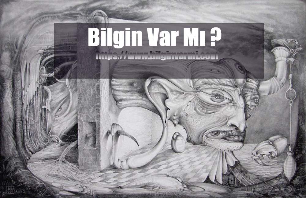 Bogomillik Nedir ?