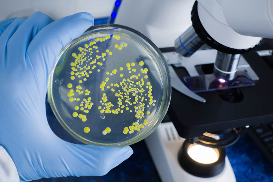 3.5 Milyon Yıllık Bakteriyi Kendine Enjekte Etti