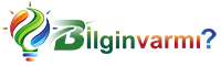 Bilginvarmi Logo