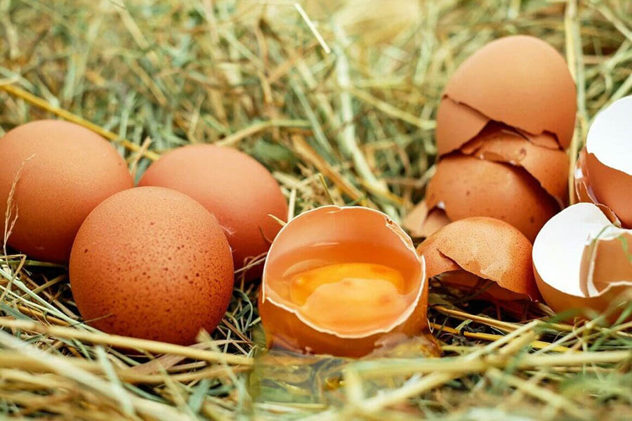 Çiğ Yumurta. 100 Yıldan Fazla Yaşayan İnsanların Diyetlerine Dahil Ettiği 8 Yiyecek..