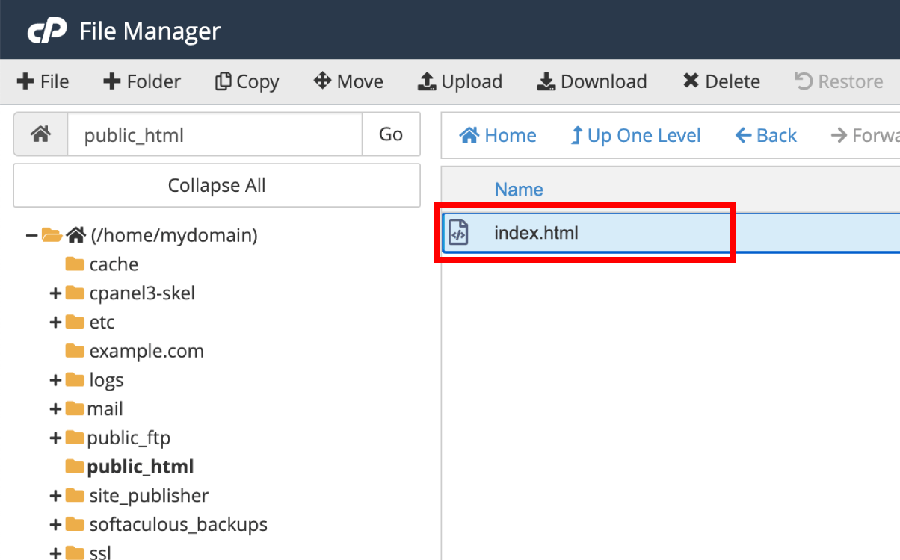 Cpanel Public_Html