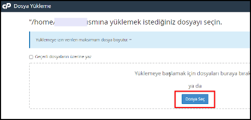 Dosya seç butonu.. cPanel Üzerinden Site Yedeği Nasıl Alınır?