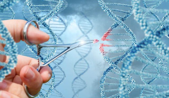 Genetik Mühendisliği Nedir?