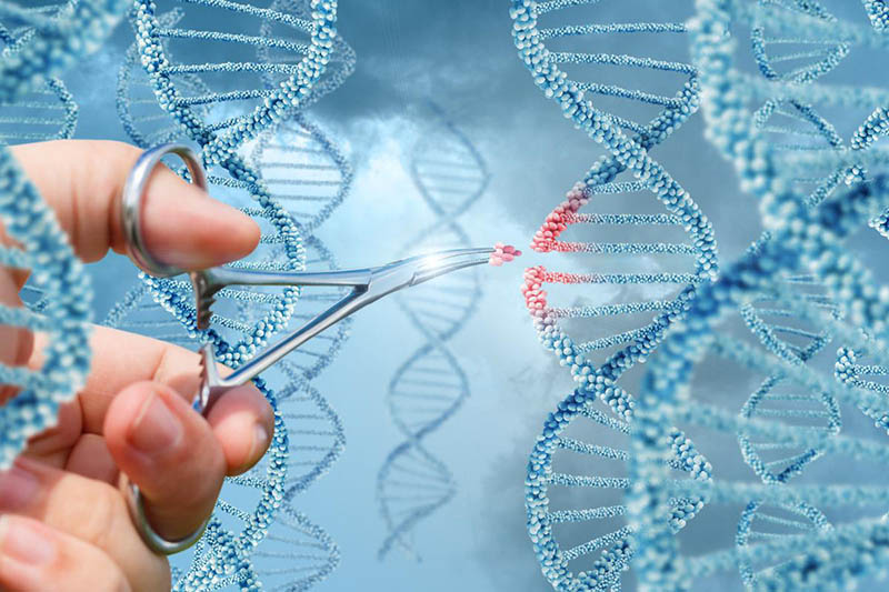 Genetik Mühendisliği Nedir?
