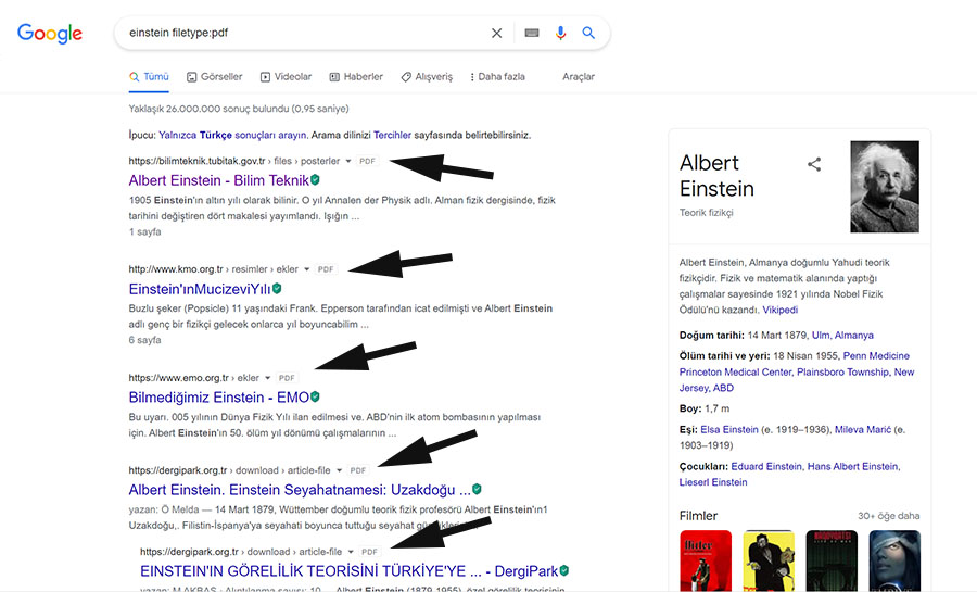 Google Sadece PDF Arama