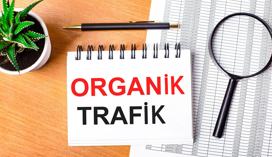 Organik Trafik Nedir ?