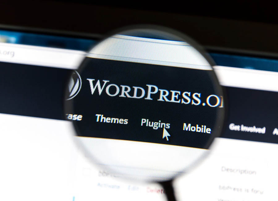 Wordpress Eklentiler ile Site Yedeği Alma