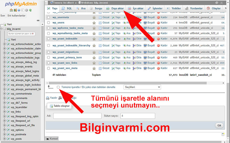 Wordpress Veri Tabanını Dışa Aktarma