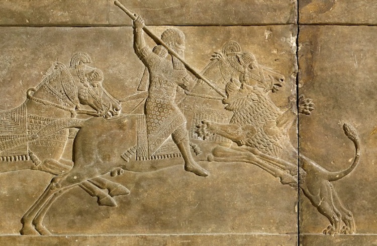 Mezopotamya'da Kurulan Devletler