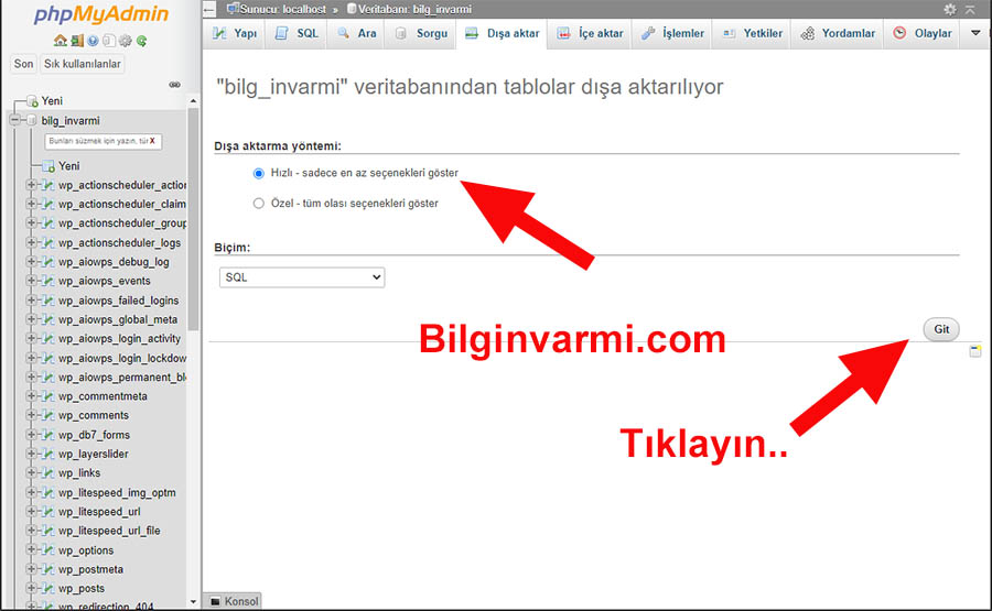 phpMyAdmin Veri Tabanı Dışa Aktarma