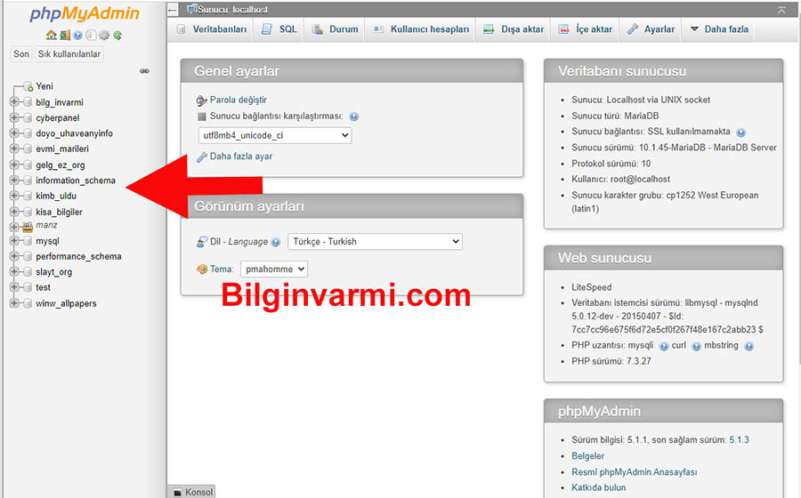 phpMyAdmin Veri Tabanı Yedeği Alma