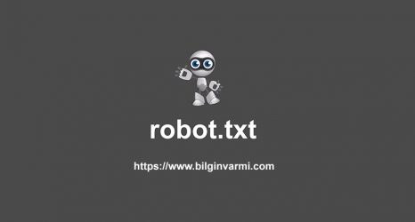 robot-txt